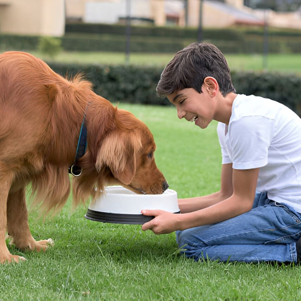 Buy Fluoride Water Filter: The Cost-Saving Guide They Don't Want You to See