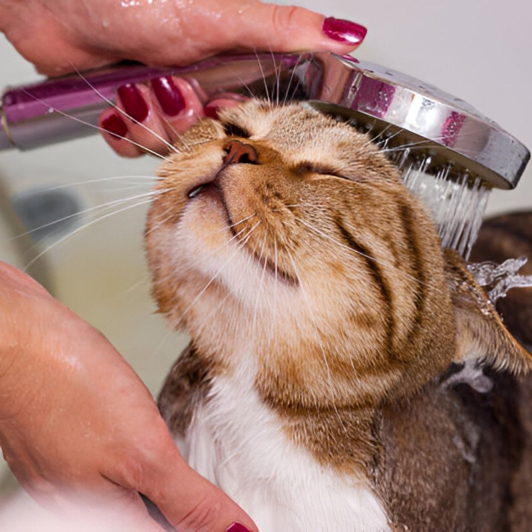 Why Banks Hate This One Simple Water Softener Financing Trick