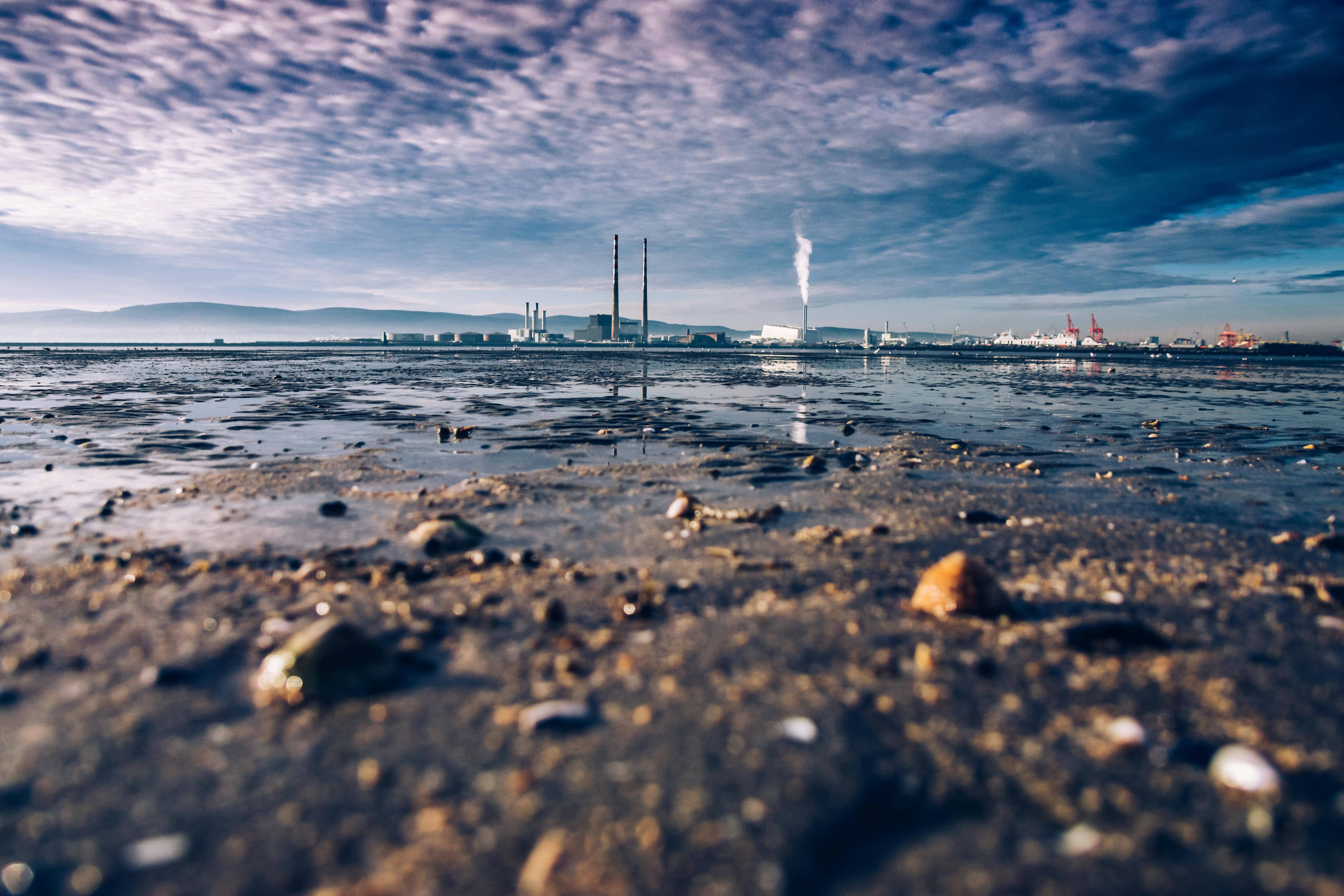 pexels-lucianphotography-3614167.jpg__PID:b8194da1-a78e-47fb-8d2f-abc83dfaddd9
