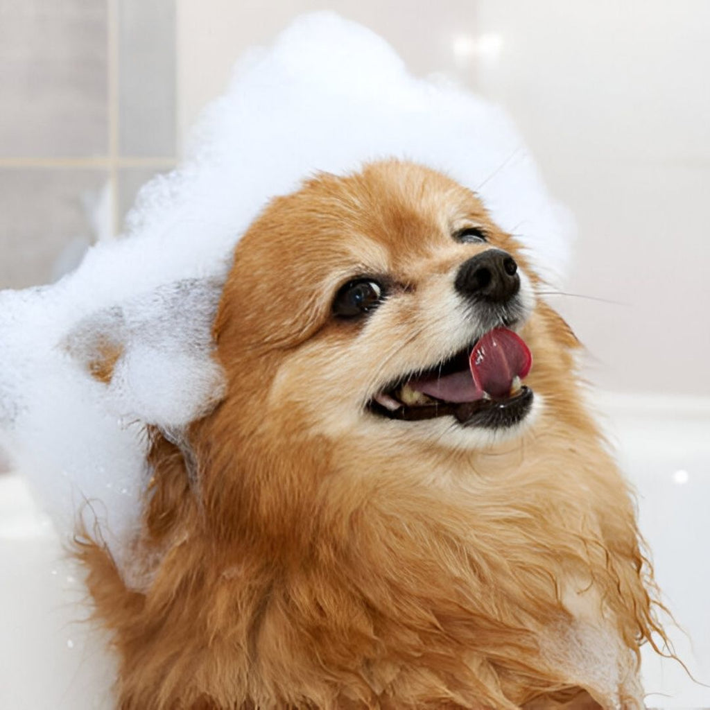The Water Softener Death Spiral: How Small Problems Become Expensive Disasters Overnight