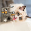 The Fatal Water Softener Installation Mistake That Destroys Your Plumbing (And How to Avoid It) 