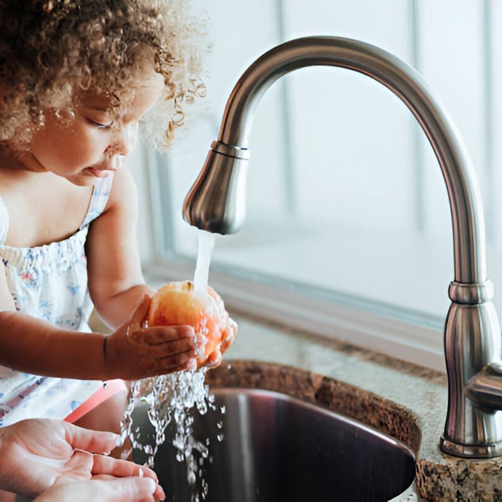 How a Single Mom From Ohio Got a $4500 Water Softener System for FREE (Legal Loophole Revealed) 