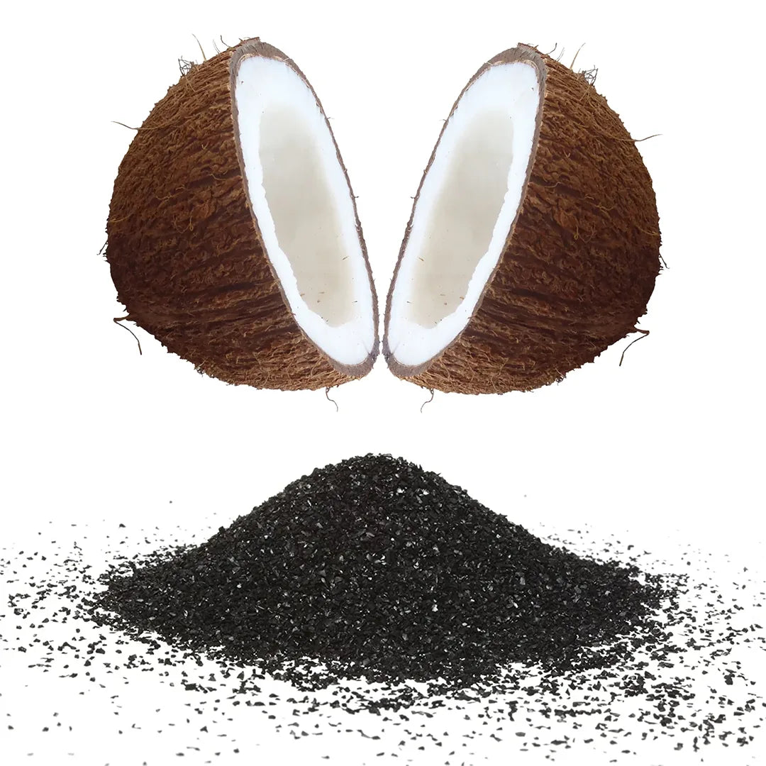 coconut-based-carbon-media.webp__PID:86fc0b78-e473-4560-99ee-d05114f0b047